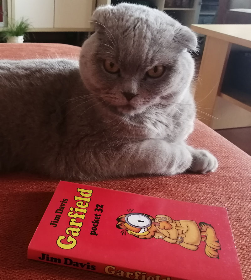 Garfield is vakliteratuur
