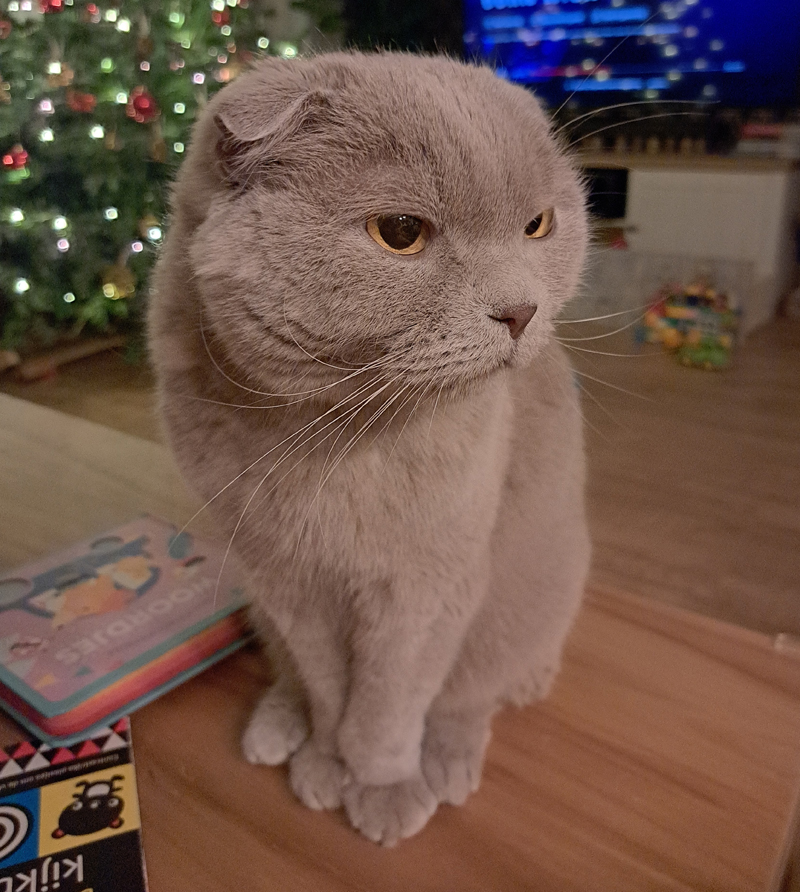 So this is Christmas?