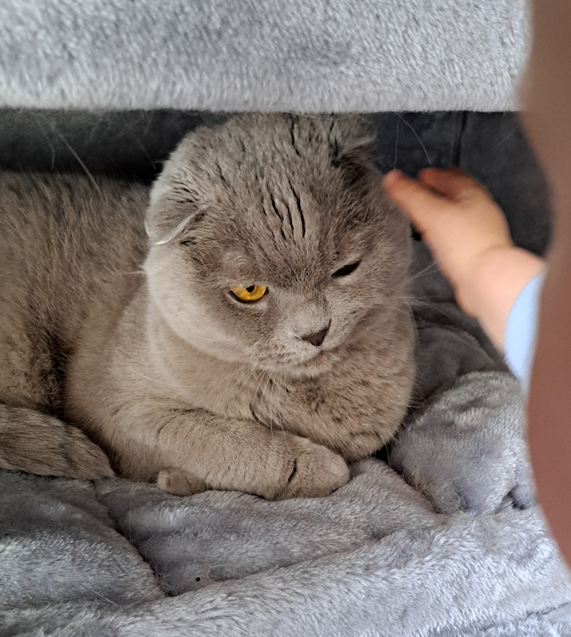 Tikkie jij bent hem.