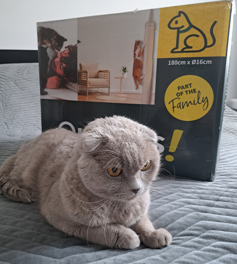 Win een Quapas! klimzak!